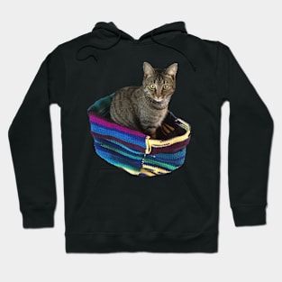 Kitty in a Basket Hoodie